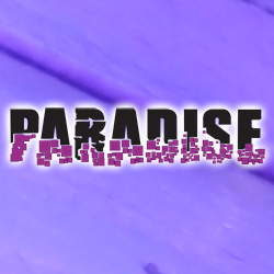 PARADISE EVENTOS