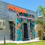 PACHAMAMA cachorros en movimiento